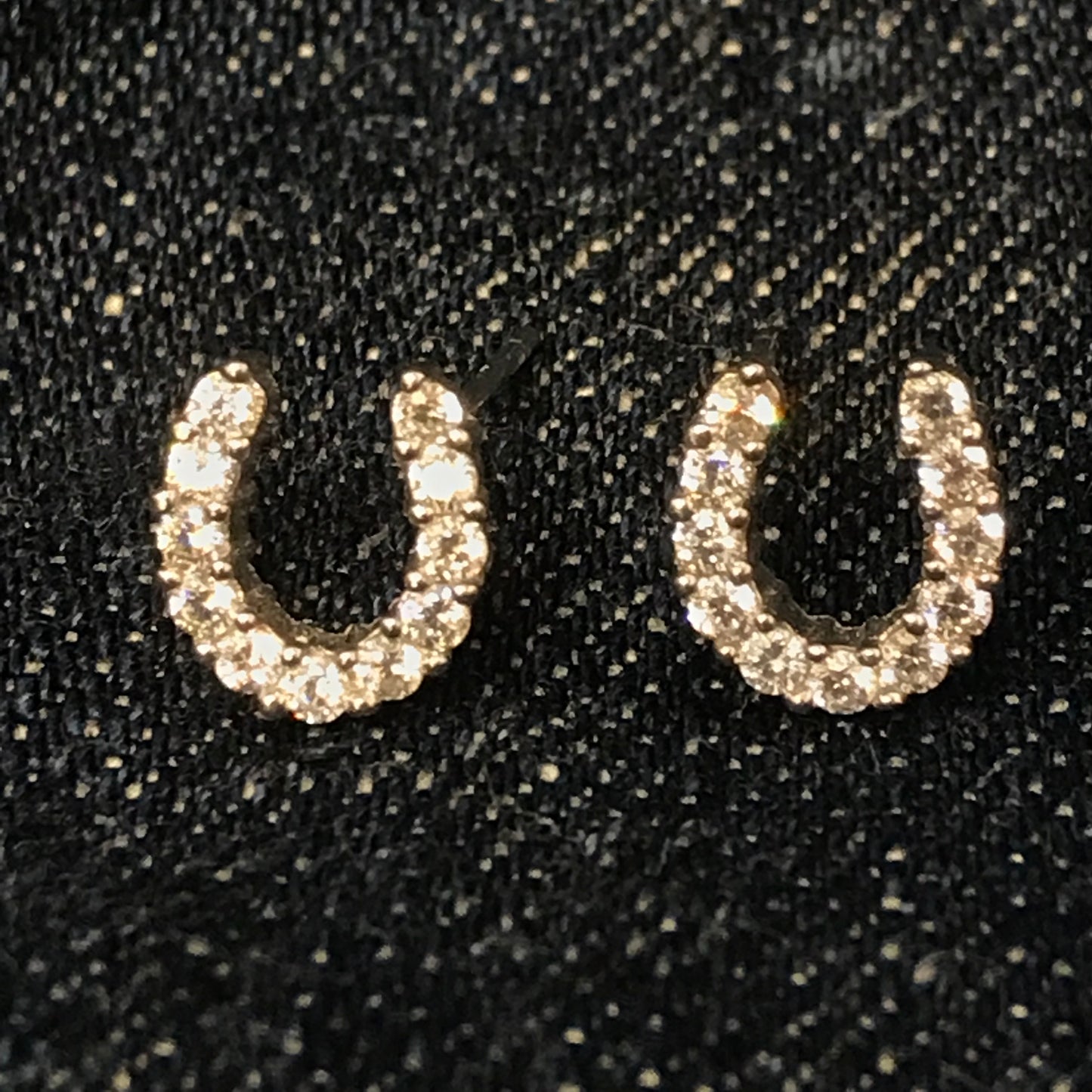 Horseshoe Earrings