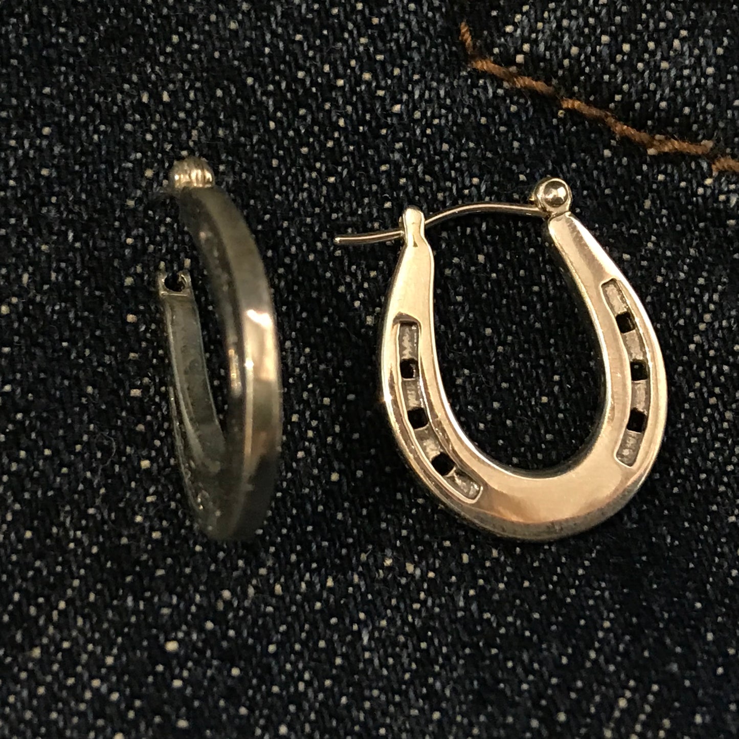 Horseshoe Hoop Earrings
