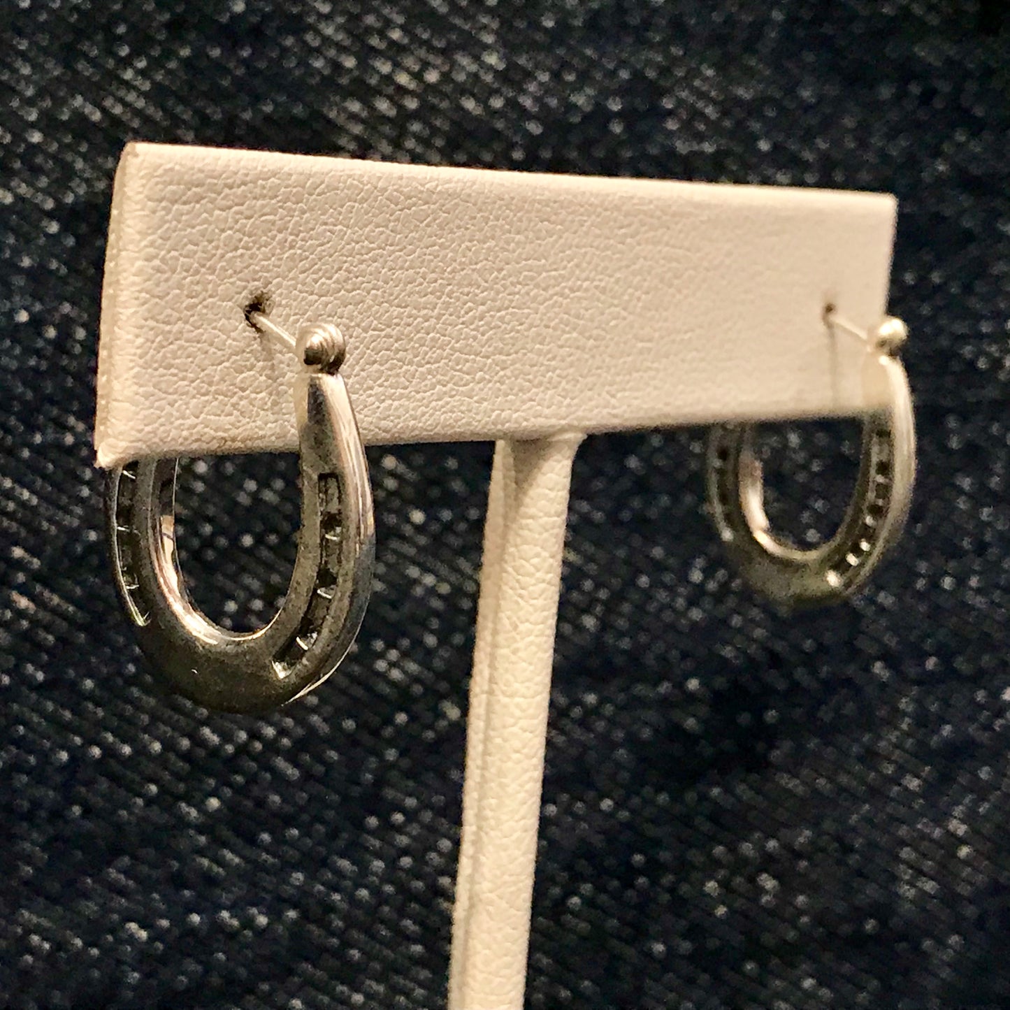 Horseshoe Hoop Earrings