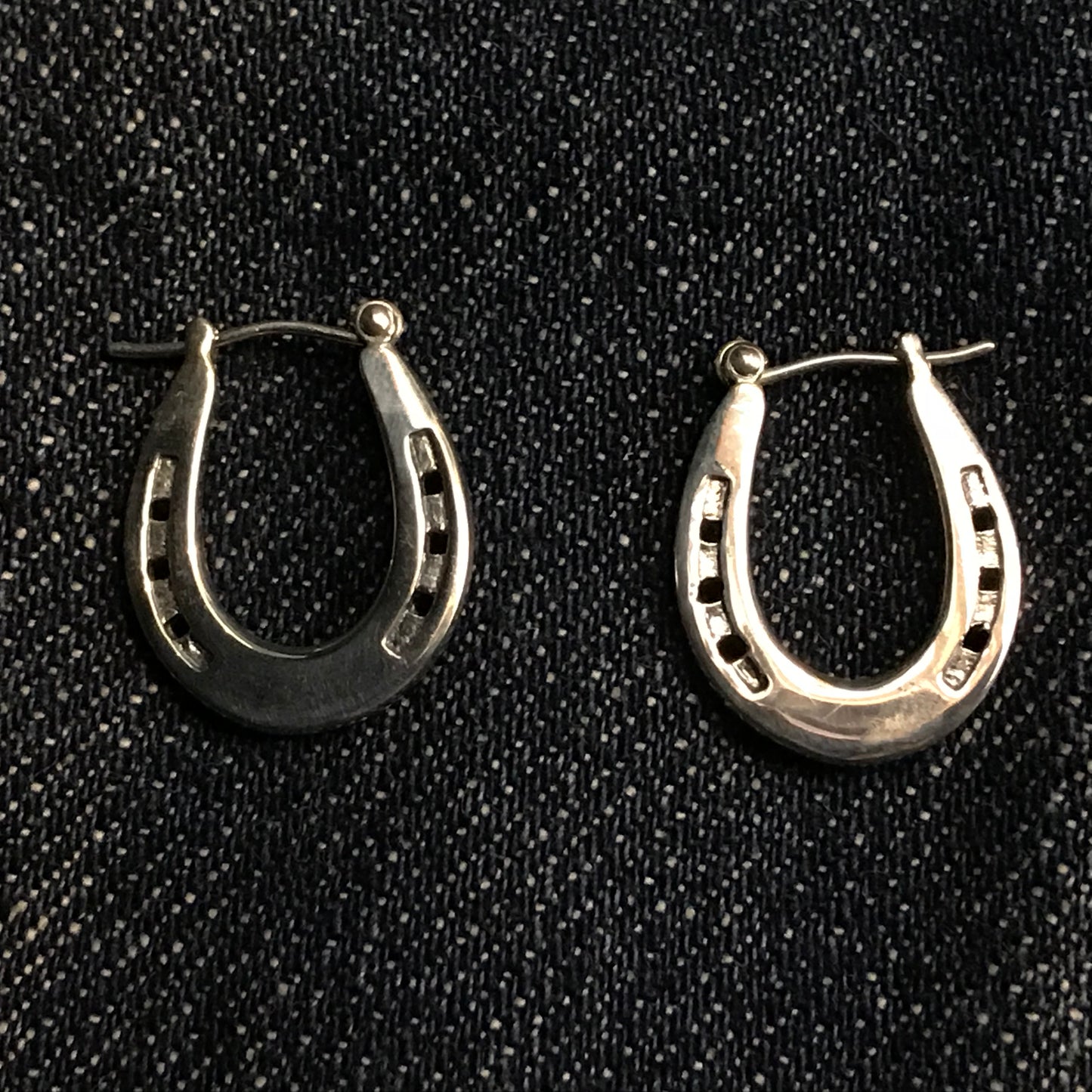 Horseshoe Hoop Earrings