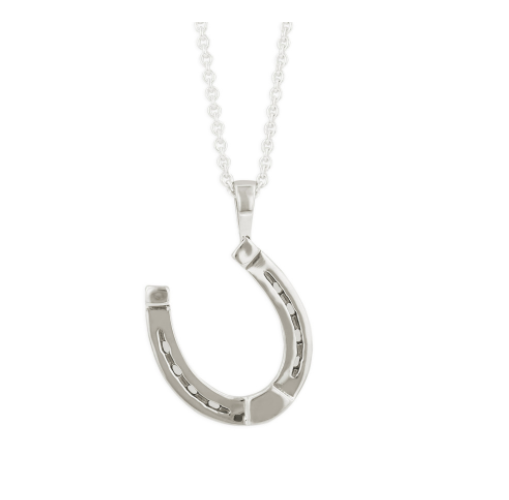 Horseshoe Necklace - Heavy